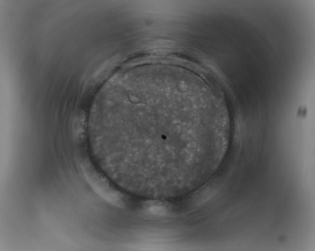 X0000112020073200908241525