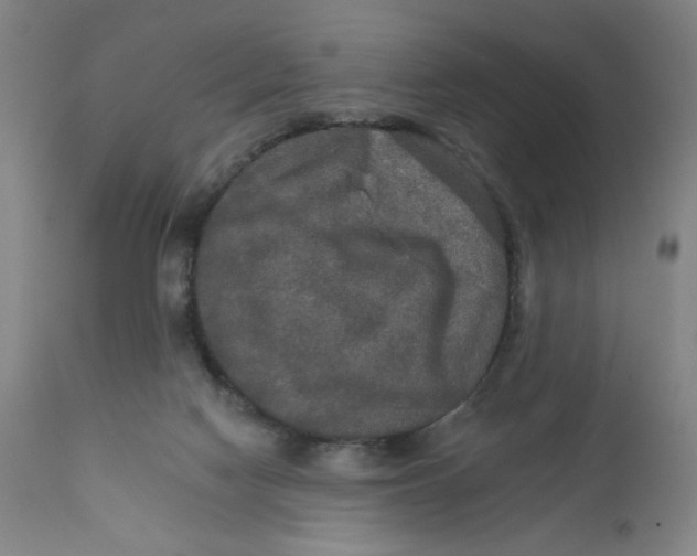 X0000112020074200908241525