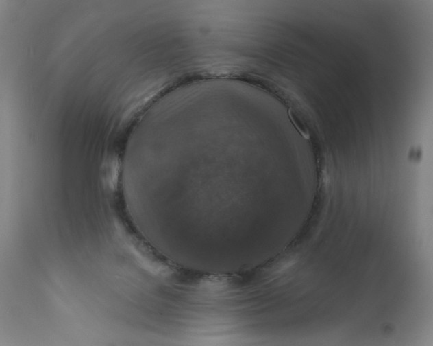 X0000112020076200908241525