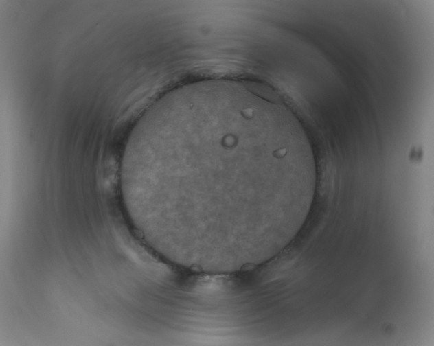 X0000112020077200908241525