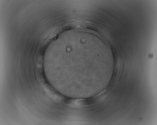 X0000112020078200908241525