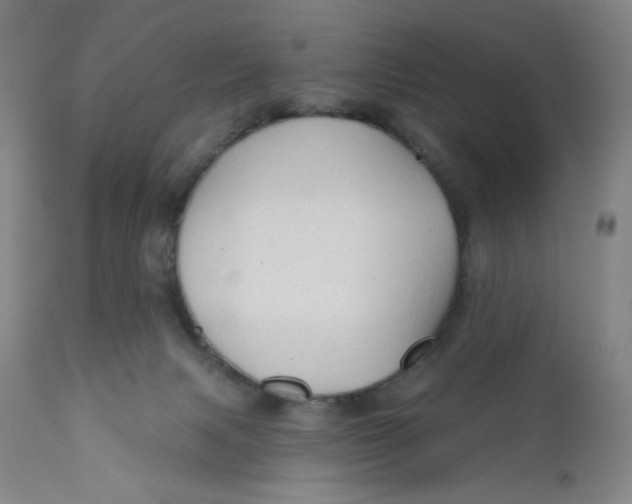 X0000112020079200908241525