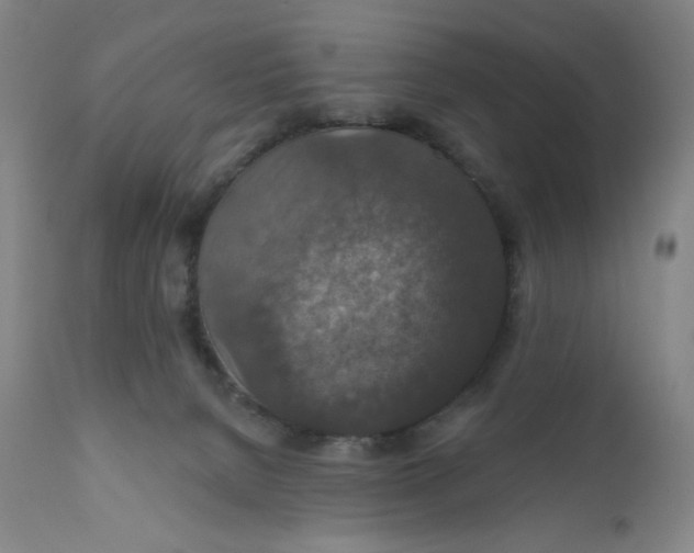 X0000112020080200908241525