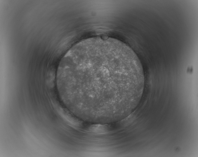 X0000112020082200908241525