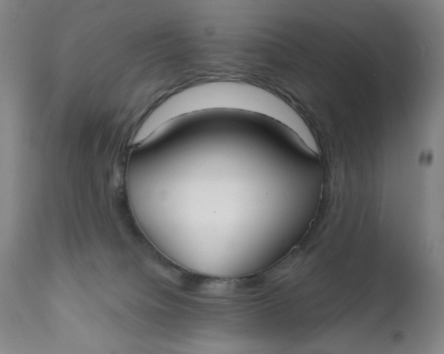 X0000112020084200908241525