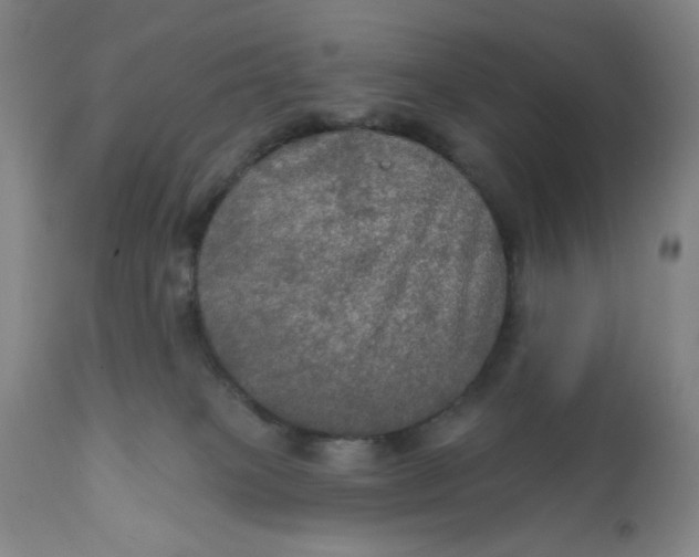 X0000112020085200908241525