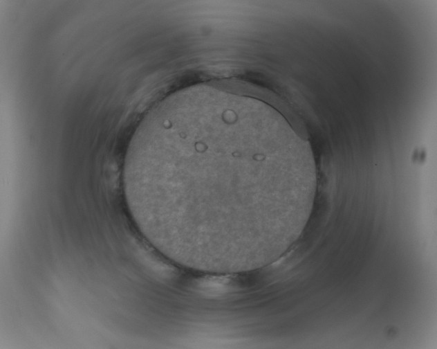 X0000112020086200908241525