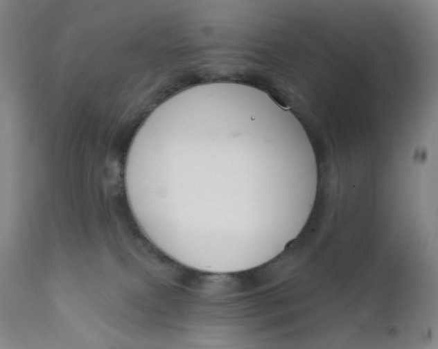 X0000112020087200908241525