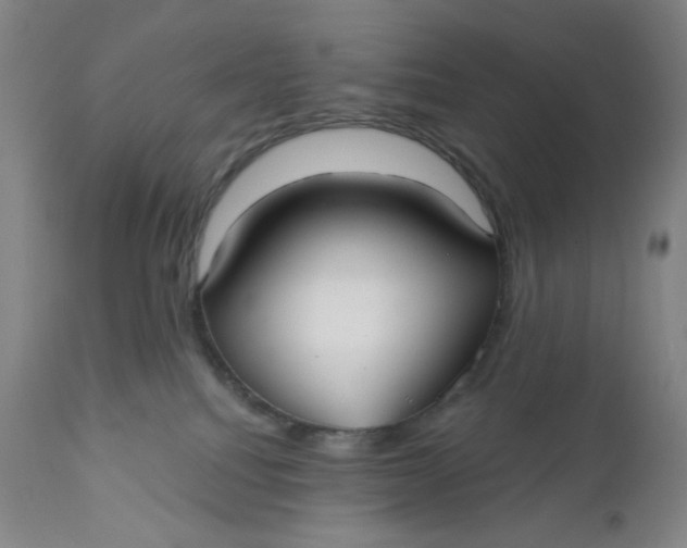 X0000112020088200908241525