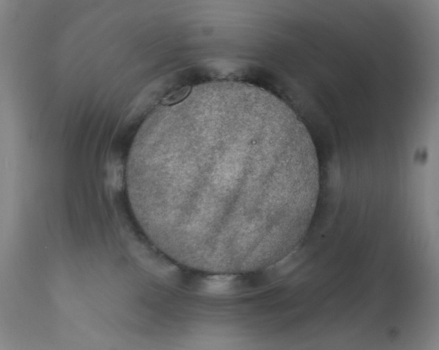 X0000112020090200908241525