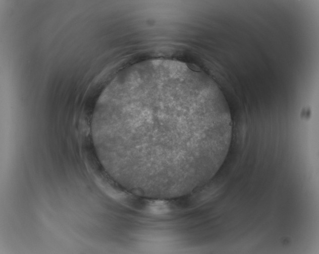 X0000112020091200908241525