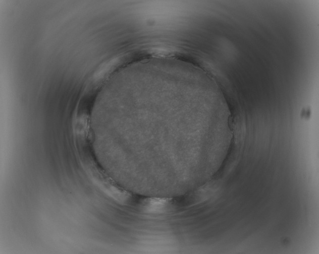 X0000112020093200908241525