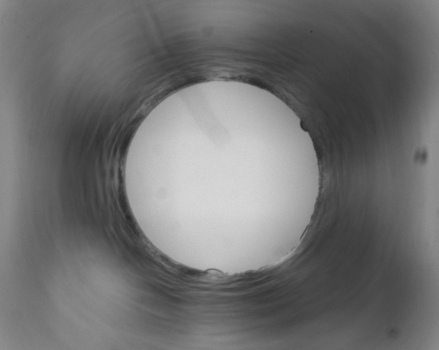 X0000112020094200908241525