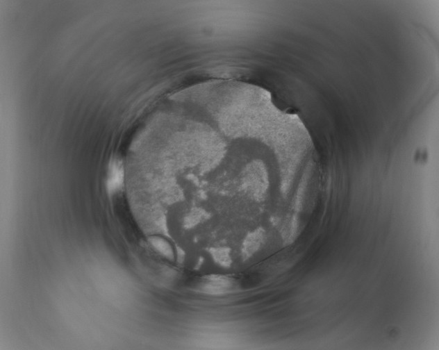 X0000112020095200908241525