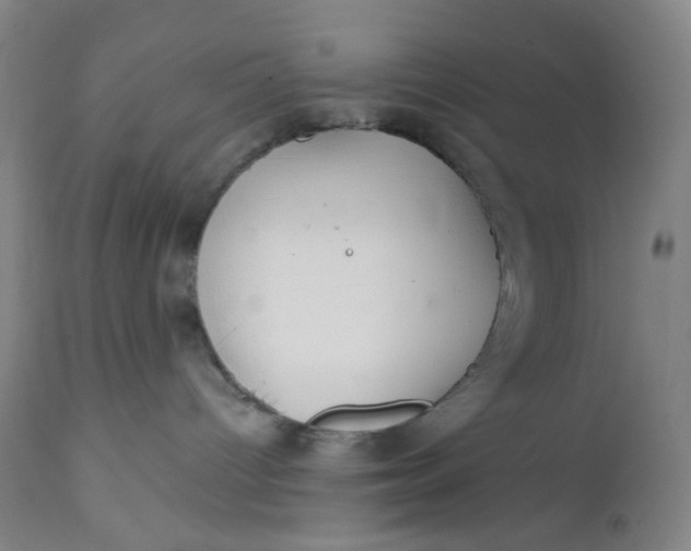 X0000112020096200908241525