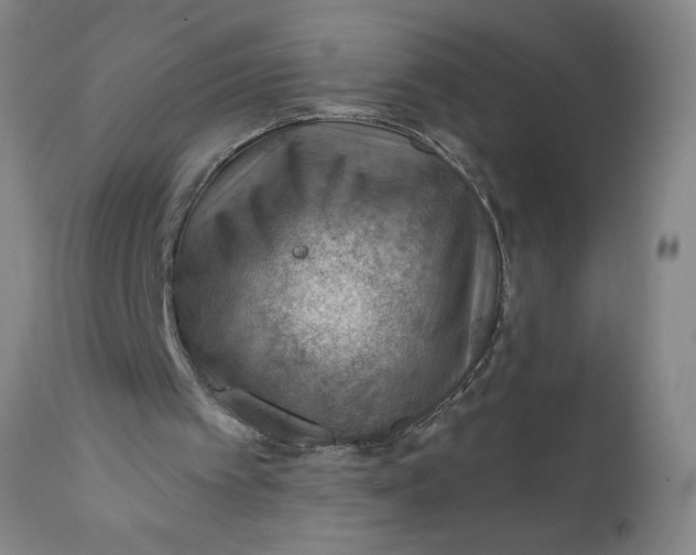 X0000112020097200908241524