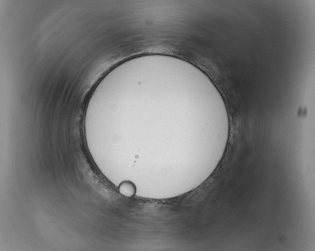 X0000112020098200908241524