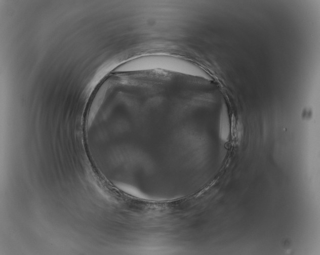 X0000112020099200908241524