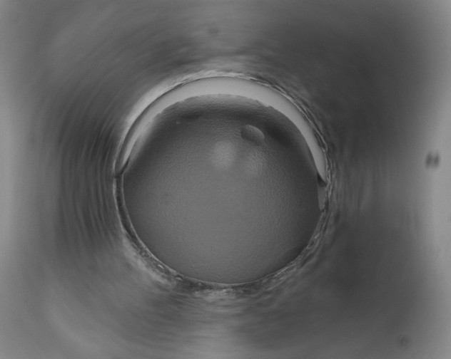 X0000112020100200908241524