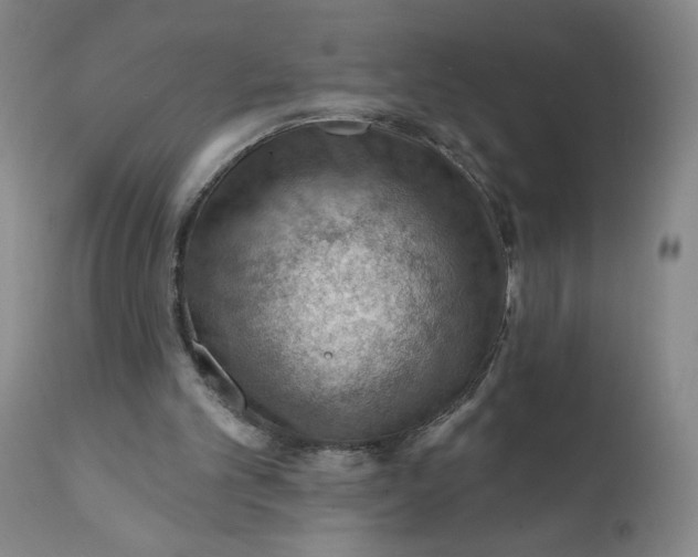 X0000112020101200908241524