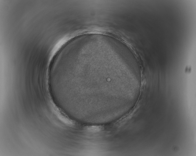 X0000112020102200908241524