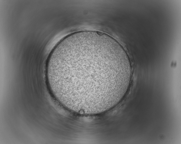 X0000112020103200908241524