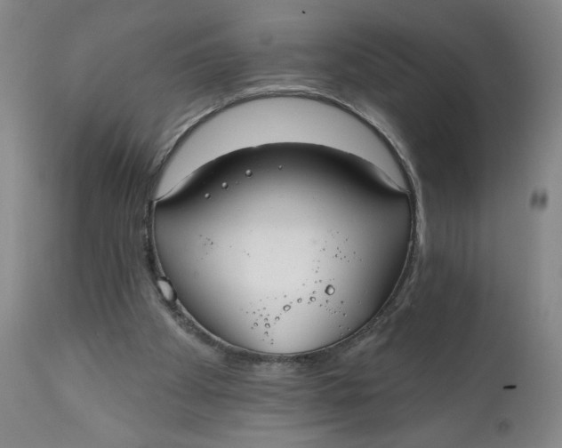 X0000112020105200908241524