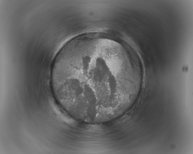 X0000112020107200908241524