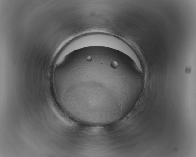 X0000112020108200908241524