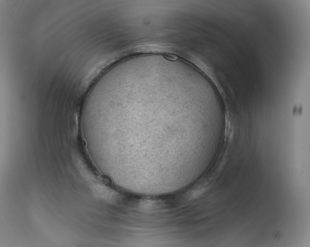 X0000112020109200908241524