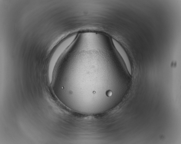 X0000112020112200908241524