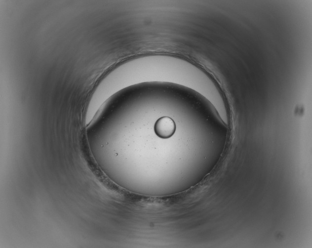 X0000112020113200908241524