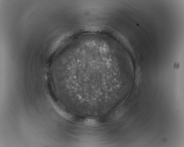 X0000112020114200908241524