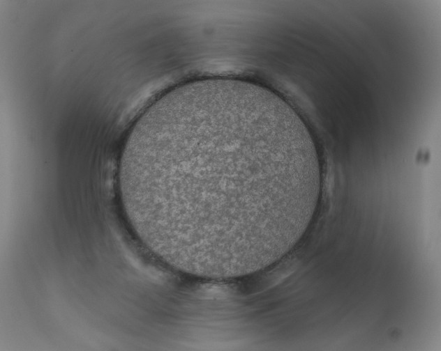 X0000112020115200908241524