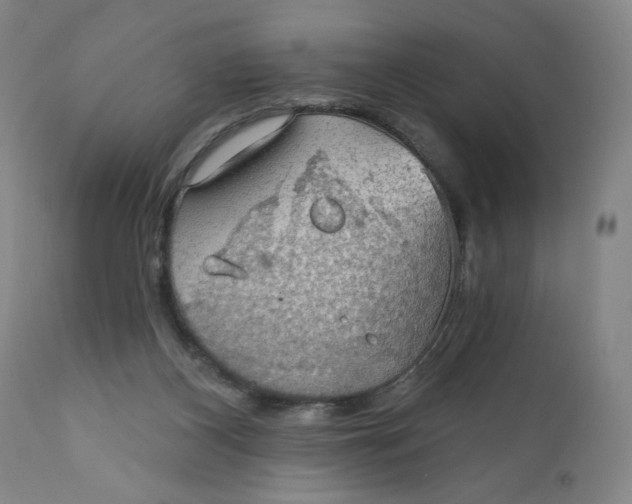 X0000112020116200908241524