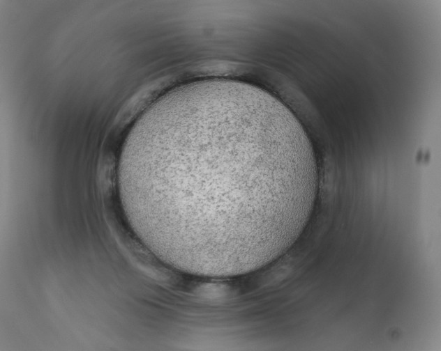 X0000112020119200908241524