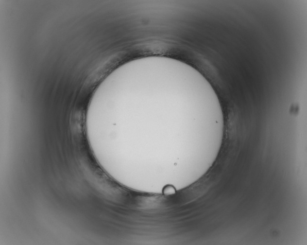 X0000112020122200908241524