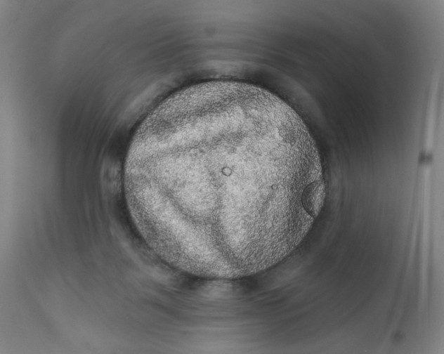 X0000112020123200908241524