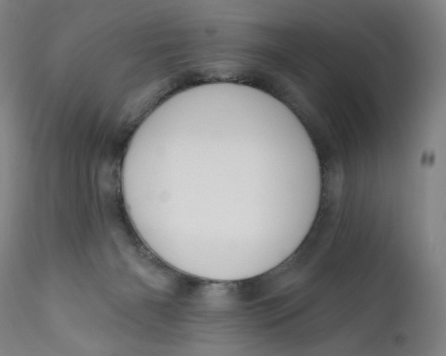 X0000112020126200908241524