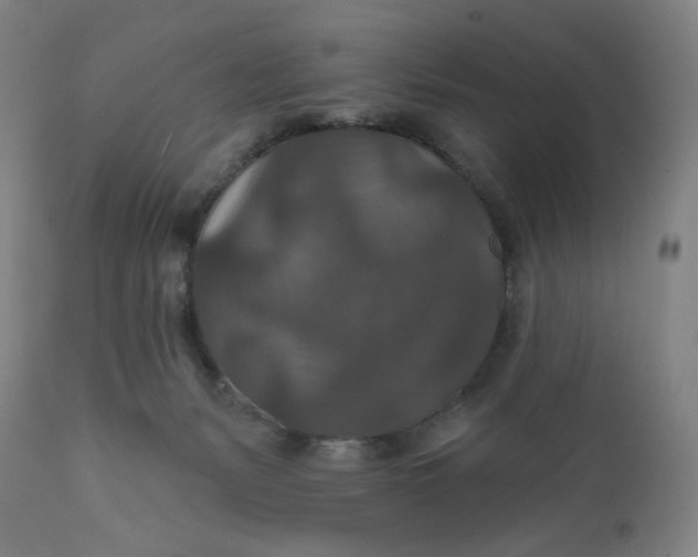 X0000112020127200908241524