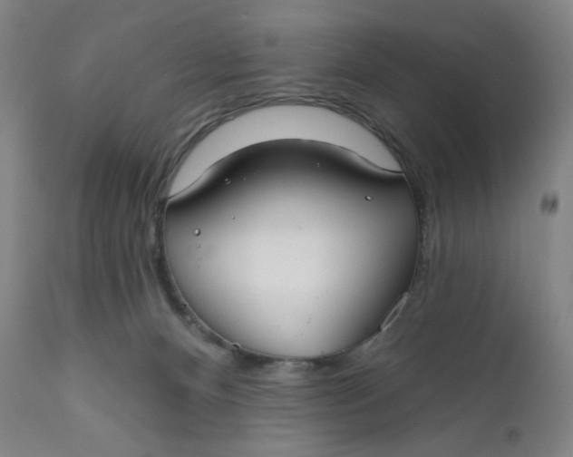 X0000112020128200908241524