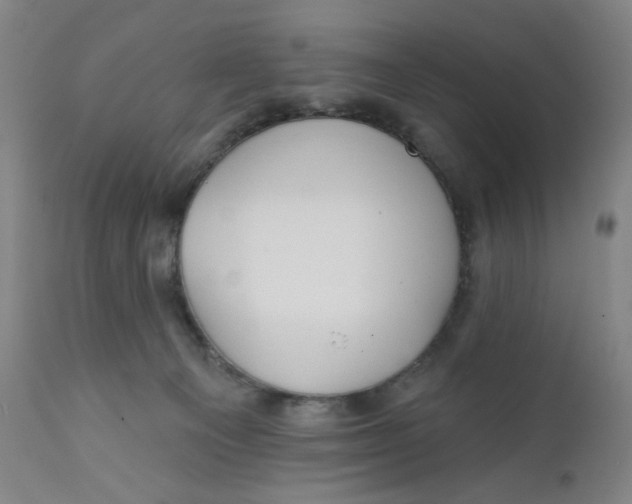 X0000112020129200908241524