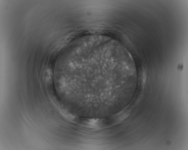 X0000112020130200908241524