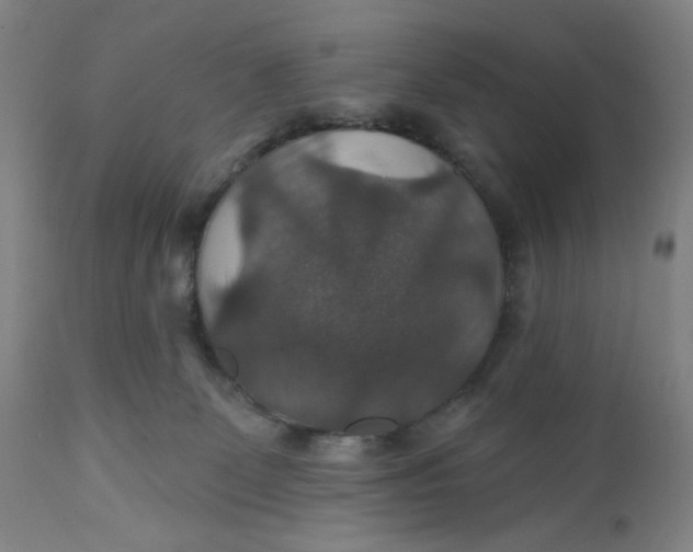 X0000112020131200908241524