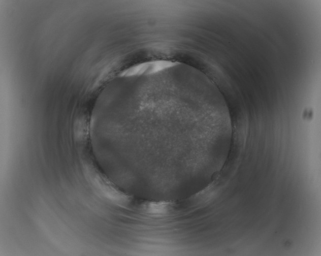 X0000112020134200908241524