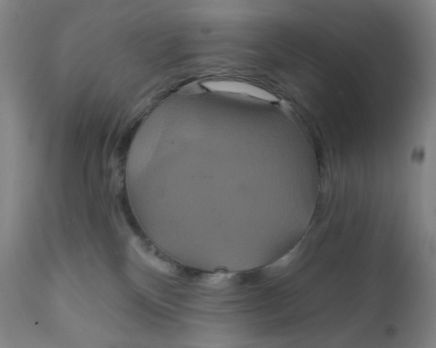 X0000112020136200908241524