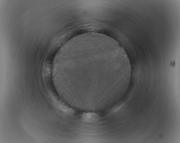 X0000112020137200908241524