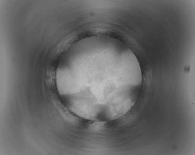 X0000112020138200908241524