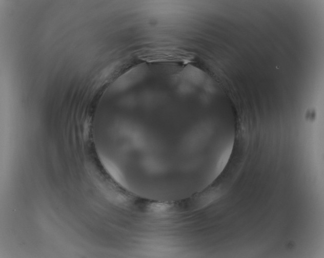 X0000112020139200908241524