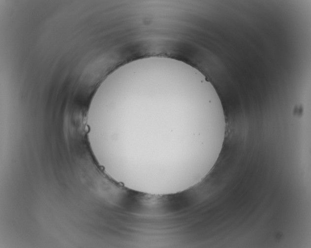 X0000112020142200908241523